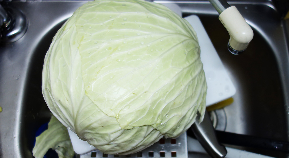 ひとり暮らしの台所に巨大なキャベツ