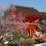 賀茂川沿いを散歩して上賀茂神社お参りして焼き餅買う。