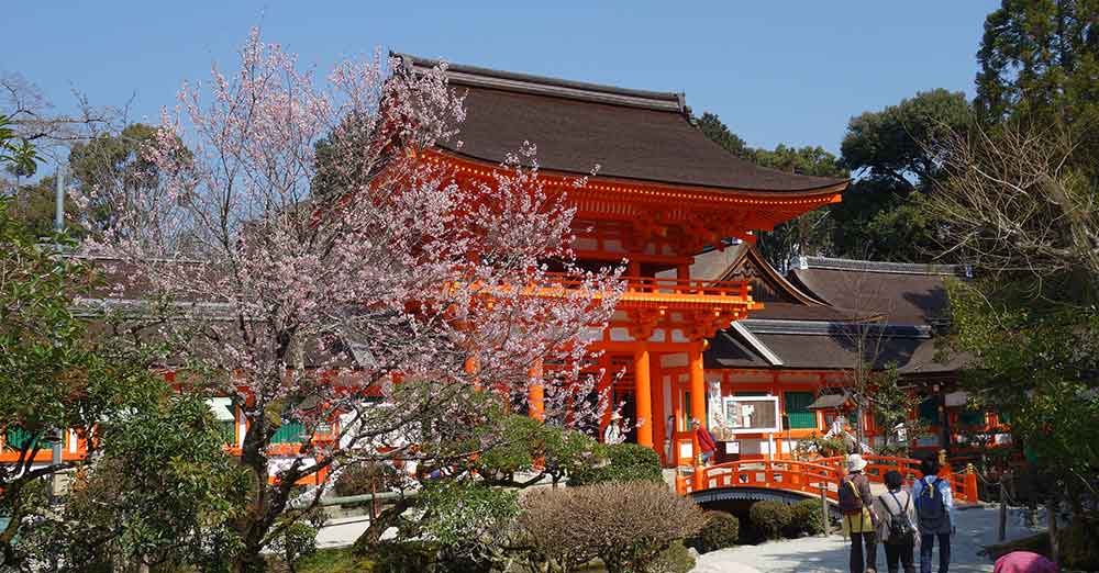 上賀茂神社に桜
