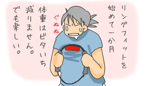 リングフィットを（ちょこちょこ休みつつ）頑張って一か月づけてみた。
