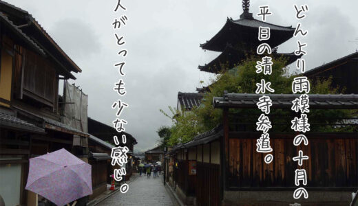 友旅1日目その2：長楽館さんでお菓子を購入、清水寺参道で本わらび餅食べて舞妓はんひぃ～ひぃ購入