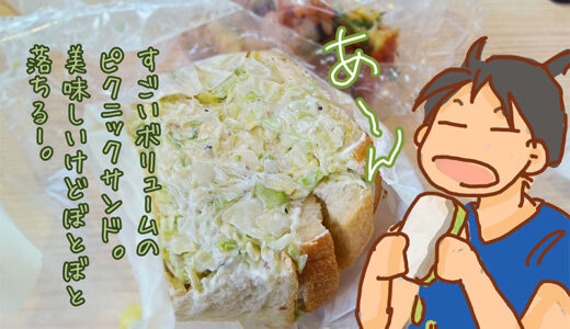 一乗寺の”ぱんのちはれ”さんのすごいキャベツ量のピクニックサンドを食べる
